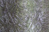 Kinghay fibreglass roof work